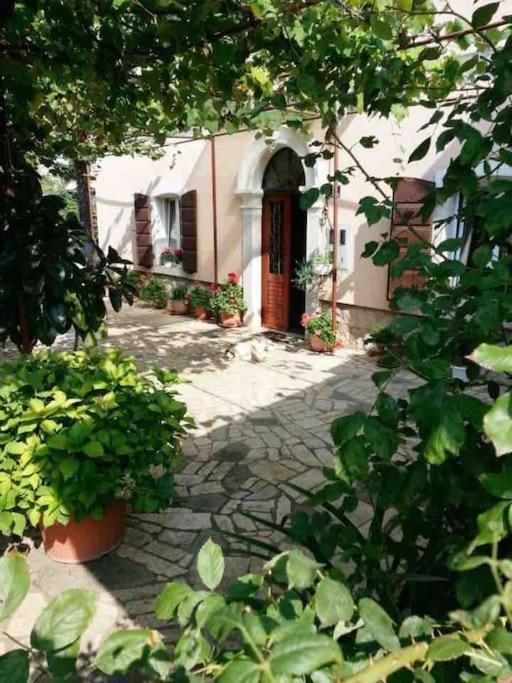 New Renovated Appartment Mauri Porec Ngoại thất bức ảnh